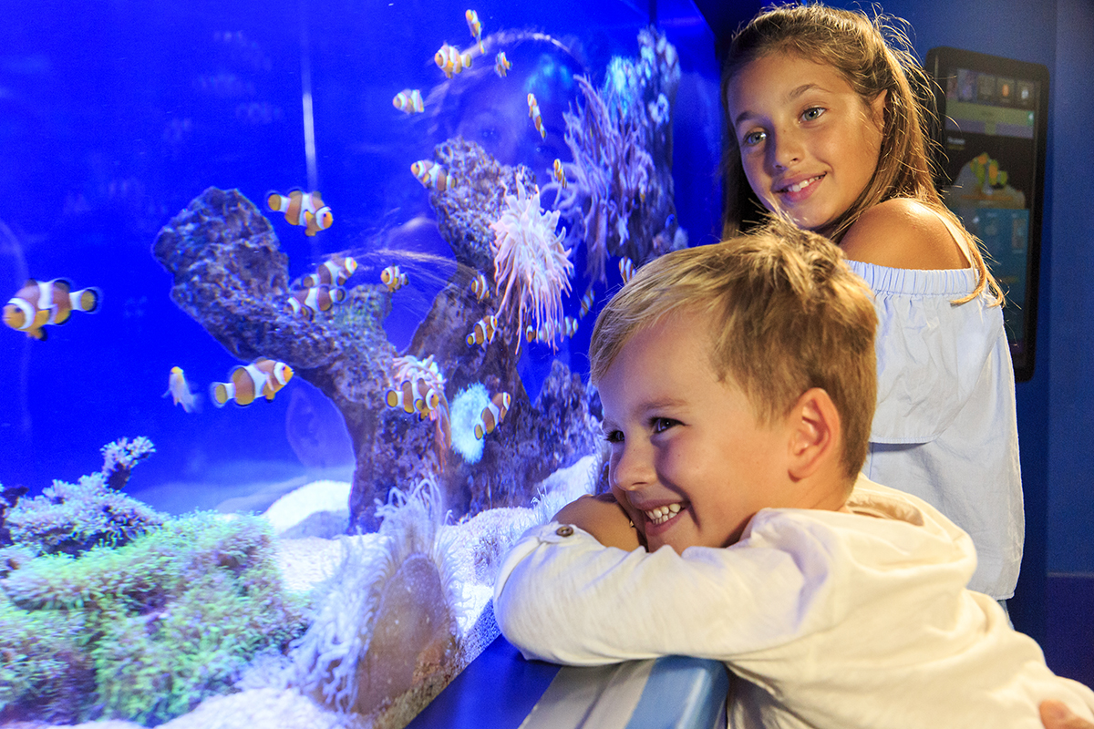 Palma Aquarium in Mallorca